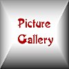 An Array Of Pictures!